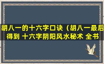 胡八一的十六字口诀（胡八一最后得到 十六字阴阳风水秘术 全书）